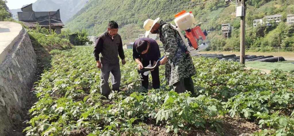 城口在线最新招聘,城口在线最新招聘，与大自然同行，寻找内心的平和之旅